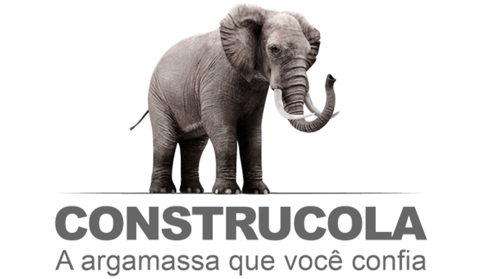 Empresa 5